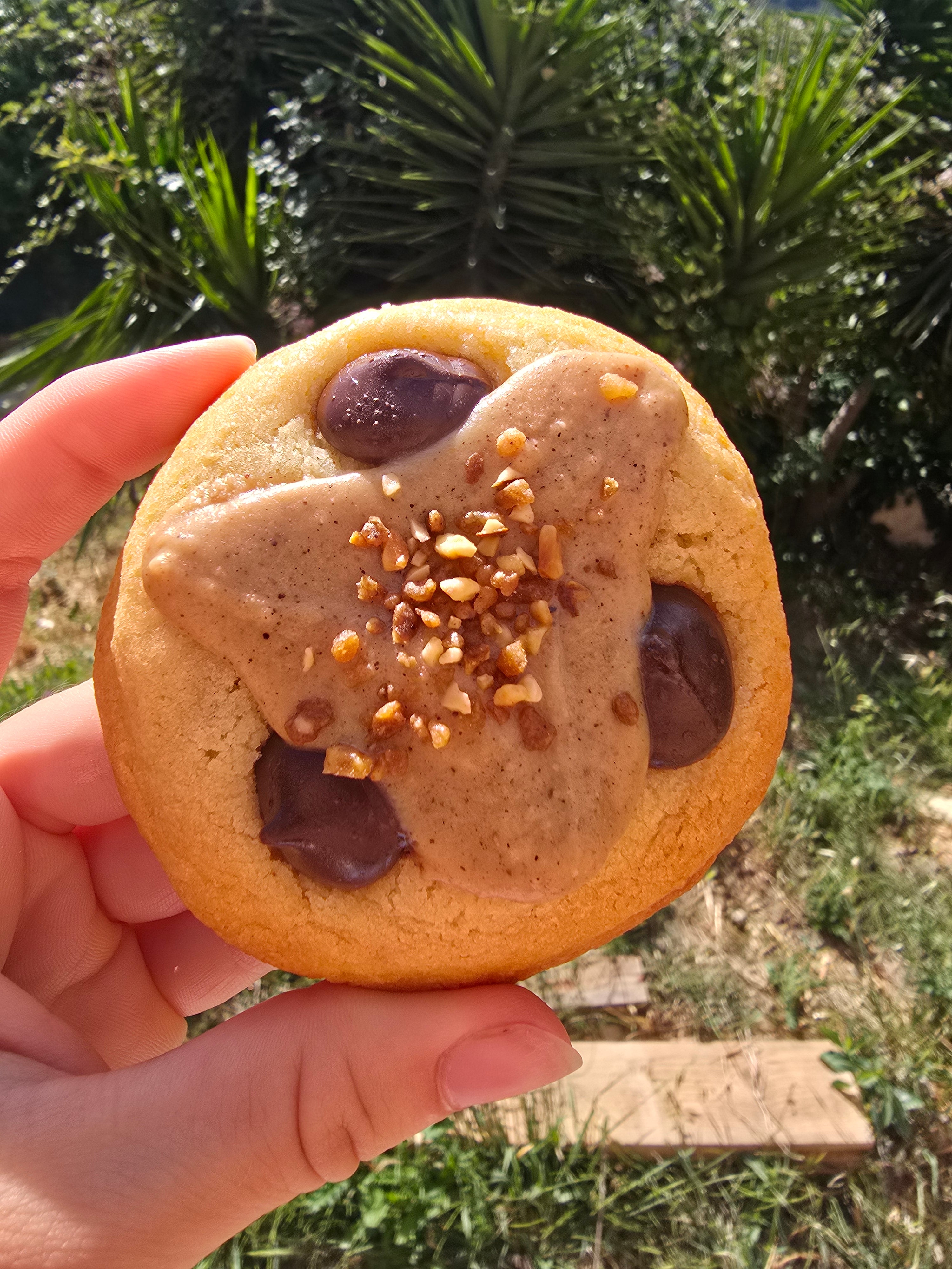 Cookie au praliné noisettes