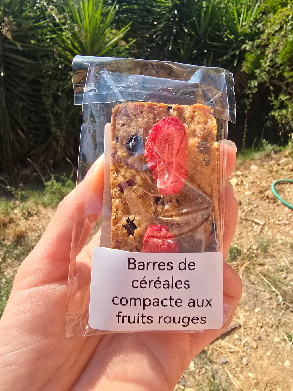 Barres de céréales compacte aux fruits rouges (1 barre)