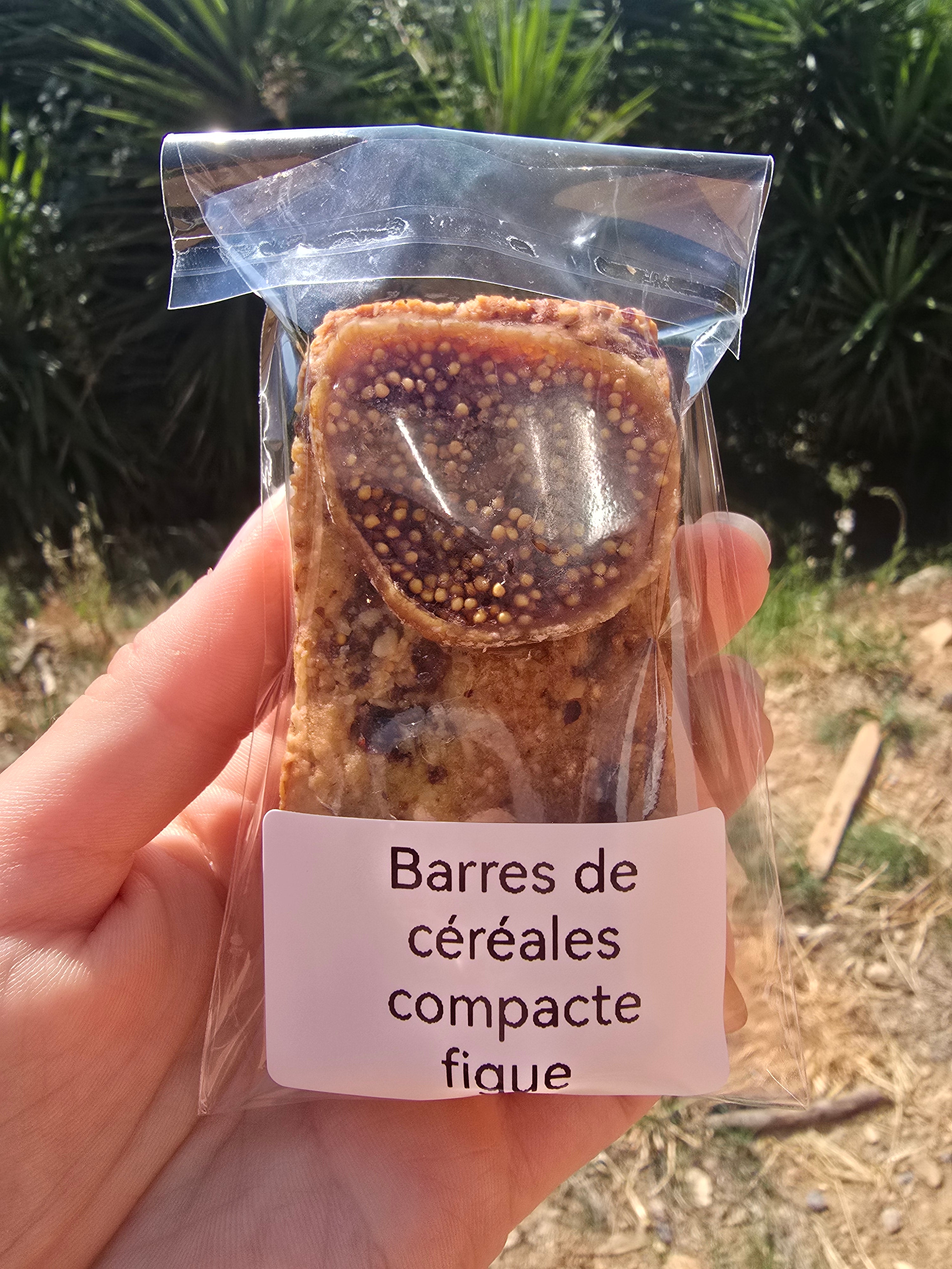Barres de céréales compacte à la figue (1 barre)