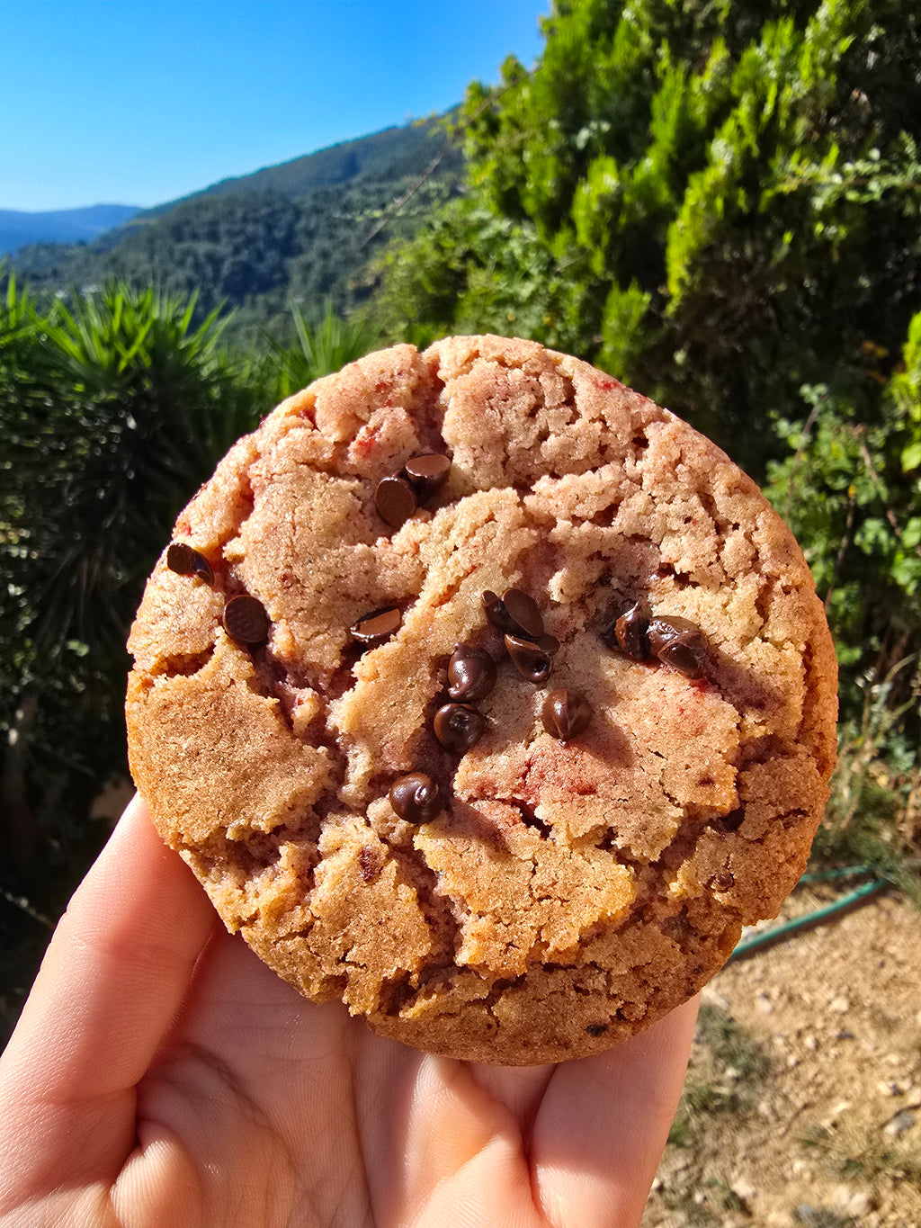 Cookie à la fraise