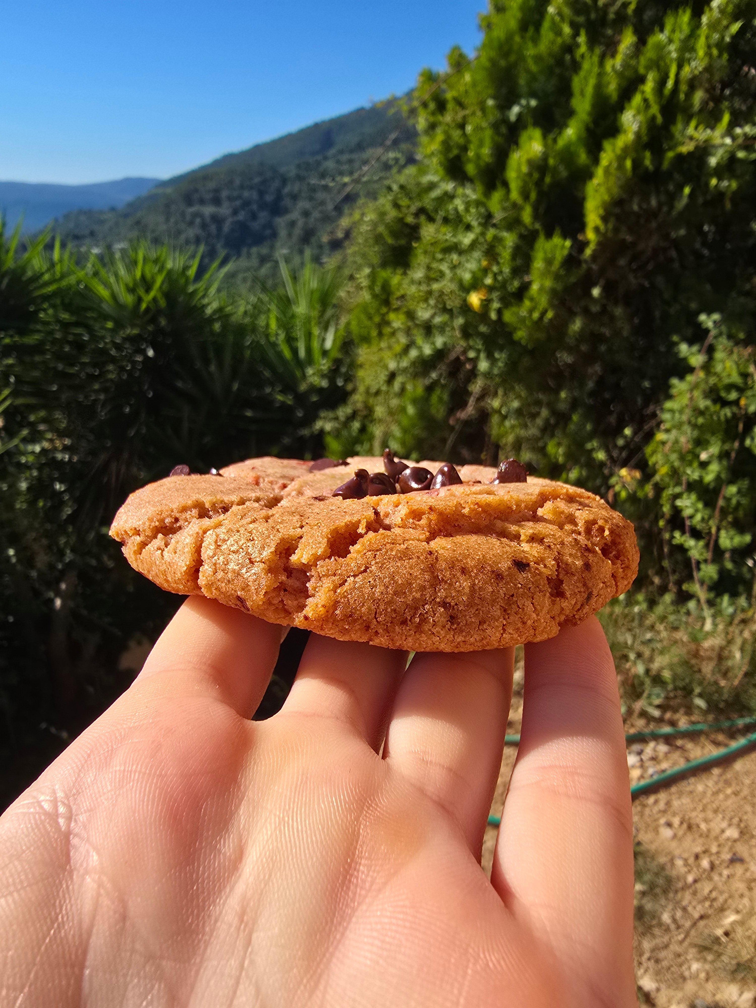 Cookie à la fraise